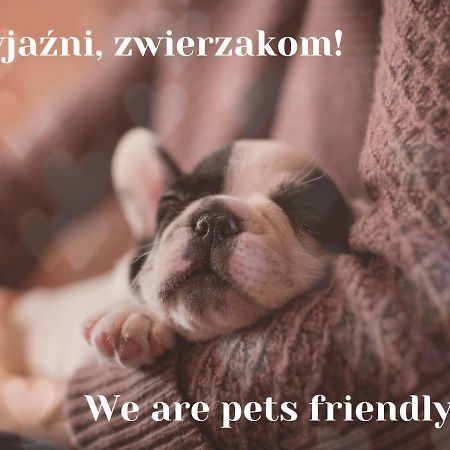 Willa Jordanowka Czorsztyn Exterior foto